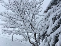 Winterimpression