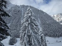 Bild 33